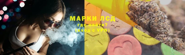 твердый Михайлов