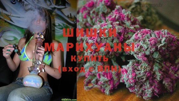 ALPHA PVP Медвежьегорск