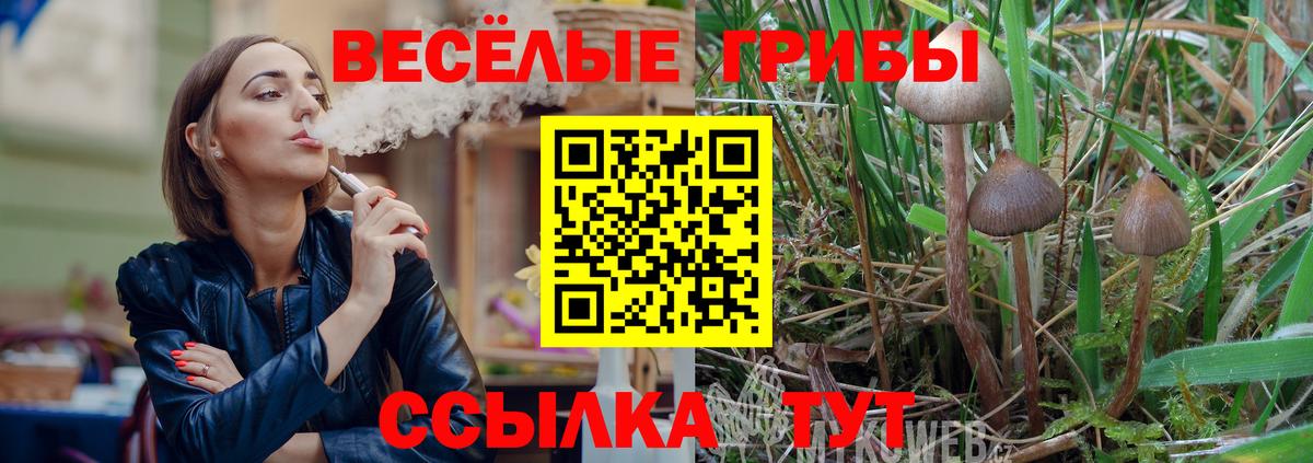 Дзержинский  Псилоцибиновые грибы Magic Shrooms  что такое   Вход с VPN 