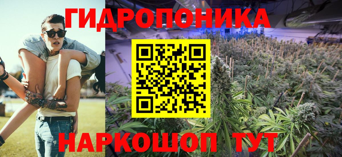 Шишки марихуана ГИДРОПОН  Конопля сатива  Вход с VPN  МАРИХУАНА планчик  Дзержинский  Каннабис индика 